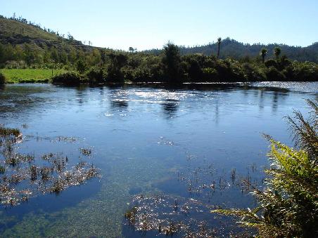 Sauberste und riesige Frischwasserquelle in NZ