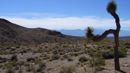 Death Valley