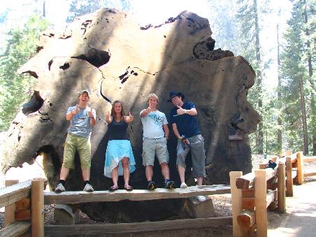 Sequoia Nationalpark. Ziemlich eindruecklich diese Riesentannen