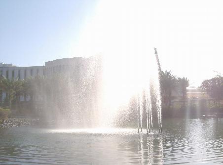 Teich vorm Riz