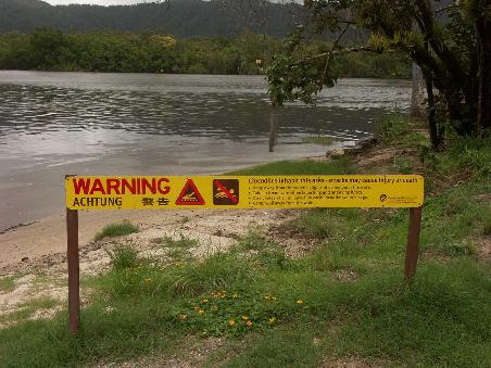 Crocs in the river! Do wuerd nidemou dr Indian Jones go bade!