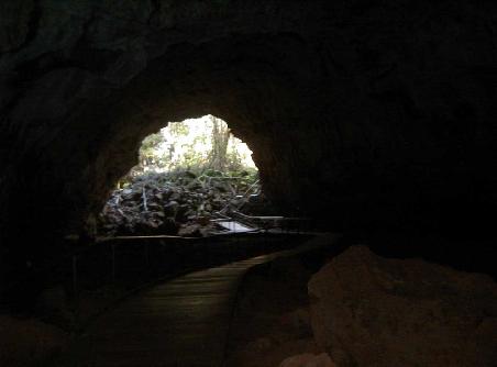 Lava Tubes bei Undara. Do isch ebe das heisse zuegs vom Undara Vulkan duregflosse