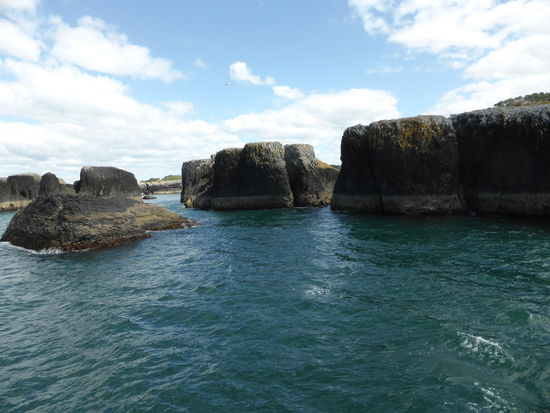 Black Rocks - Lavasteine
