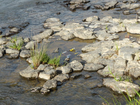 mhhh.. ein kühles Bier im "Kühlschrank" ist herrlich, aber wo ist auch nur der Fisch?