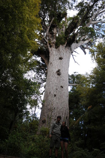 Davor sehen wir aus wie Zwerge...