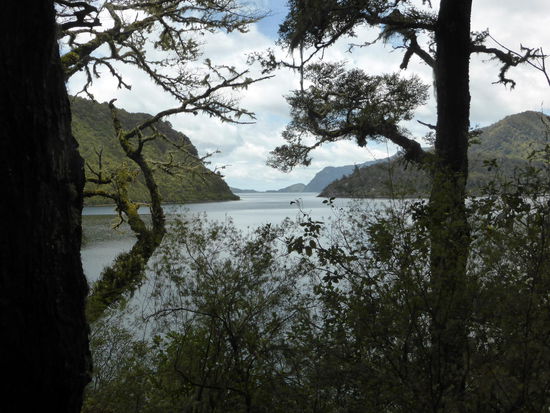 Ausblick vom Wanderweg...