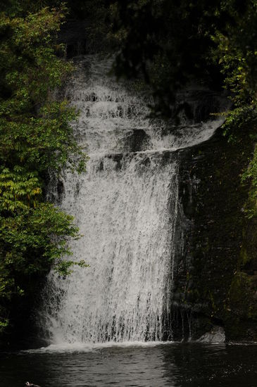 Bridal Veil Falls