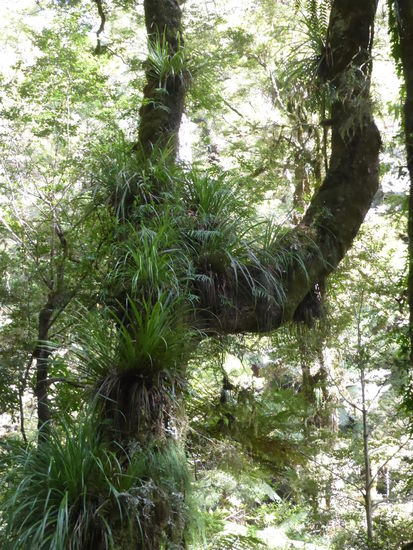 Ein Paradies für Leute mit der Lieblingsfarbe grün...