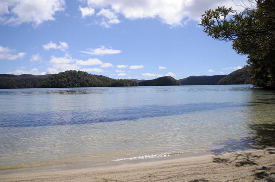 Glasklares Wasser - Lake Waikareiti