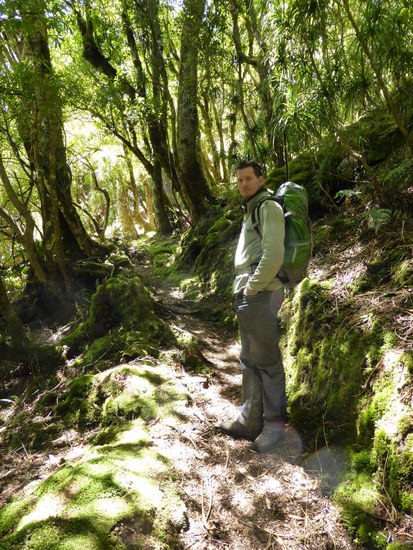 grün grün grün ist alles was ich mag... 