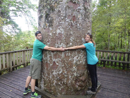 E Umarmig für ne stämmige, öppe 800 jährige Neuseeländer