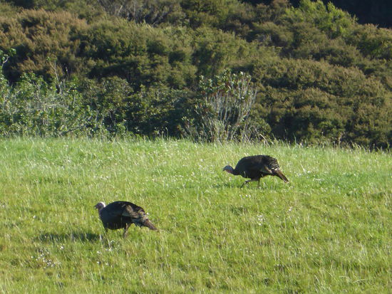 mmmhhh.. s Znacht hei mir scho im Visier