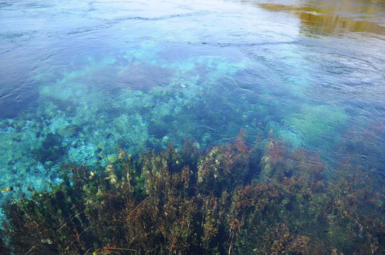 Pupu Springs, eine der klarsten Quellen der Welt.