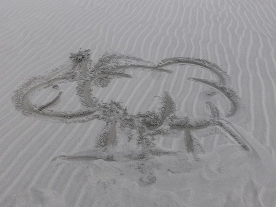 überall hat es Schafe - sogar am Strand 