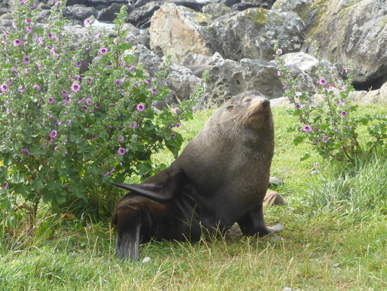 ein paar wenige begrüssten uns und winkten uns freundlich zu