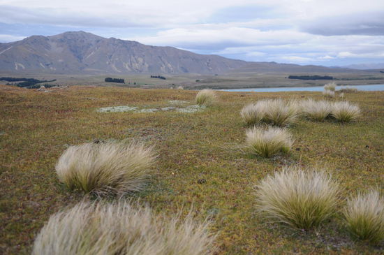 der Wind ist unser ständiger Begleiter