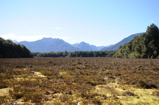 Sicht Richtung Kepler Treck (One of the Great Walks)