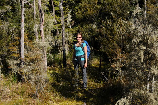 Fuer uns aber nur teilweise fuer einen Spatziergang benoetigt...