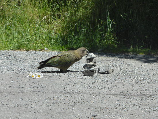 und wieder zerstören