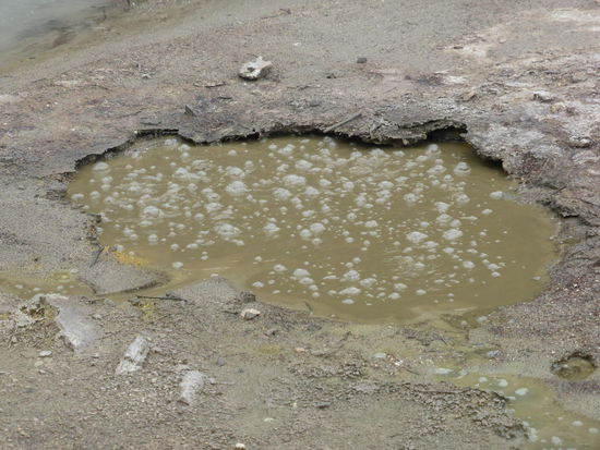 Was blubbert denn da?