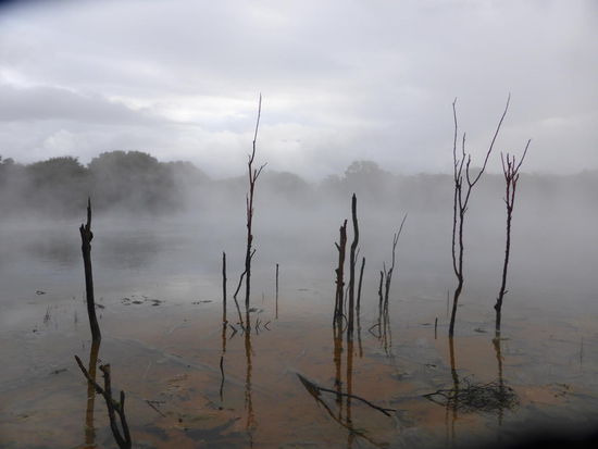mystische Stimmung im Kuirau Park