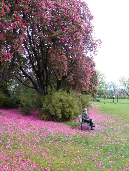 Der Frühling kommt....