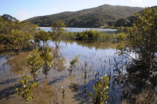 Kurzer Spaziergang am Fluss