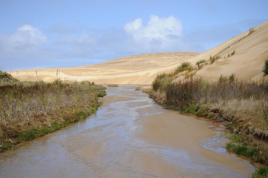 Bitte nehmt nicht an, dass wir in Afrika (Sahara) sind, wir sind immer noch in Neuseeland