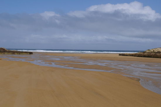 Schlussendlich sind wir an der Mündung (Ninety Mile Beach) angekommen aber leider war das erst der Hinweg.