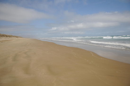 Ninety Mile Beach, auch mit dem Auto zugänglich.
Bitte Ebbe und Flut beachten