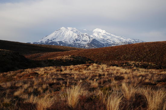 Schöne Sicht auf den Mount Ruapehu