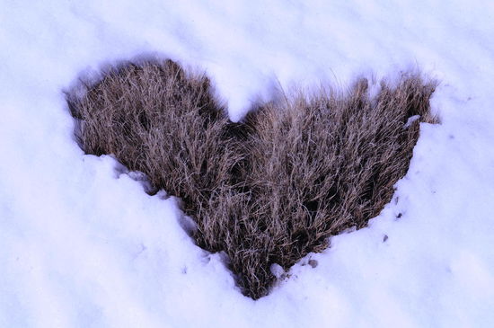 Bei dieser Wanderung schlägt einem das Herz höher