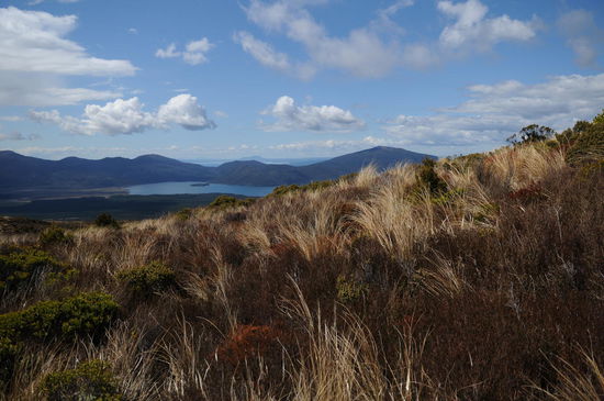 Wieder in schneefreiem Gebiet