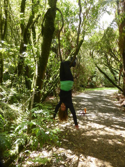 ....oder Turngerät...