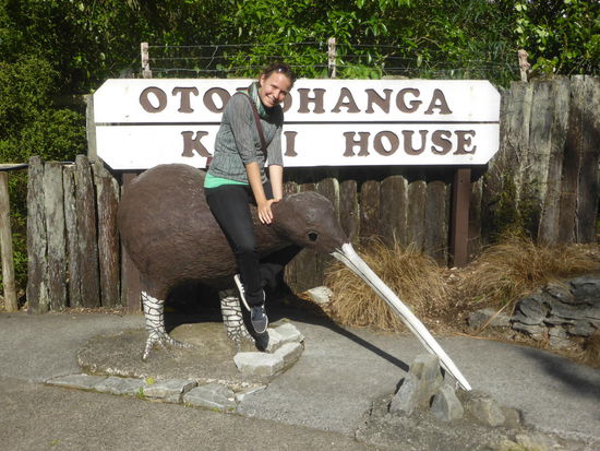 komischer Vogel 3 + 4