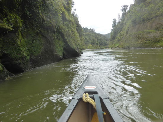 Wer weis schon was alles in diesem Wasser schwimmt...