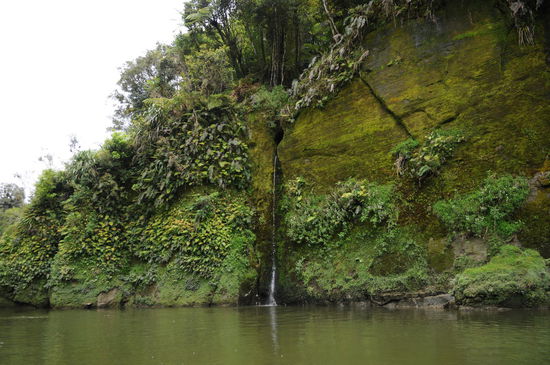 Einfach nur idyllisch....
