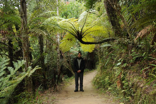 Natürlicher Sonnenschirm 
