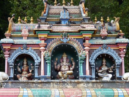 Ich freue mich auf Indiens Farben!
