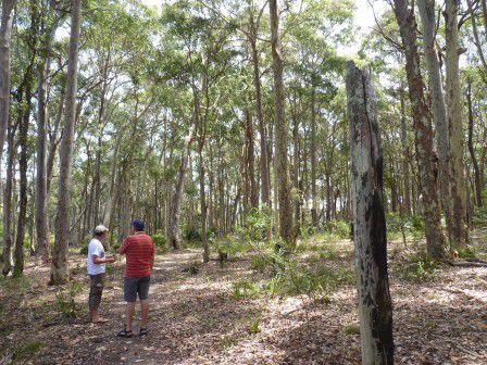 Bush walk.