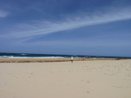 Dieser Strand ist wundervoll. Wenn es nur nicht so windig wäre ... Zu dumm, man kann nicht alles haben.
