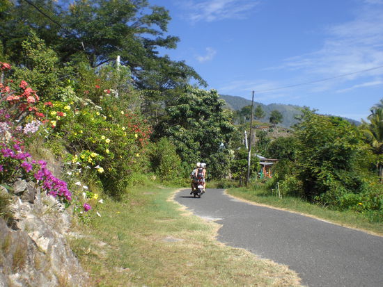 An der Straße in den Nachbarort Ambarita.