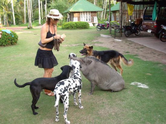 Was ist an diesem Bild falsch?