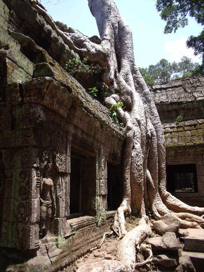 Ta Phrom Tempel