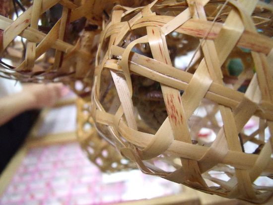 Zikade in ihrem handgeflechteten "Käfig"