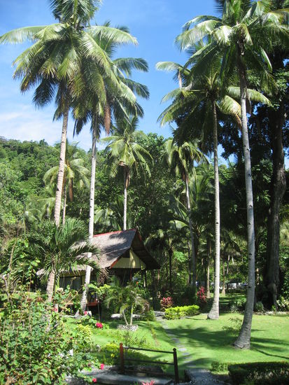 Coconut Garden Island Resort - ein Traum