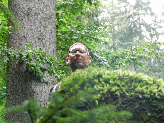 Herb auf der Suche nach seinem vergessenen Goldtopf