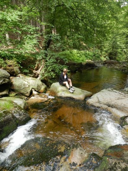 Wunderschönes Plätzchen