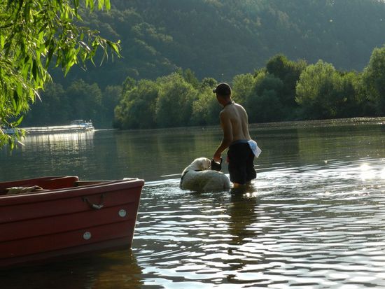So schön ist es im Main