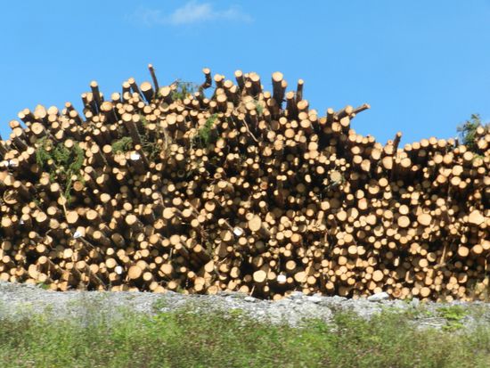 jede Menge Holz vor der Hütte